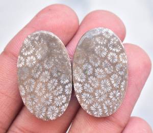 Fósil Natural de Coral, piedra semipreciosa de tamaño libre, par de gemas - Product Image 3