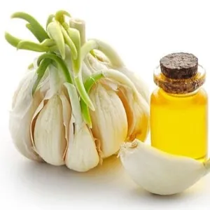 Natural Plant Extracted Garlic Essential Oil With Acne Fighting Nature