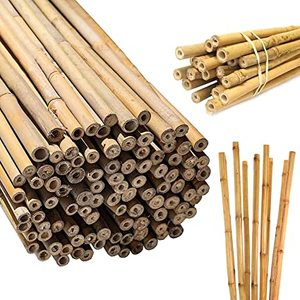 Meilleur prix pour les piquets de bambou cannes/piquets de bambou pour le jardin fabriqué au Vietnam par Eco2go Vietnam - Product Image 2