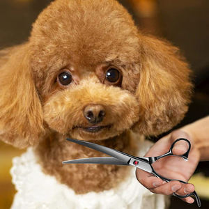 กรรไกรตัดขนสัตว์เลี้ยงแบบตรง/โค้ง,กรรไกรตัดแต่งขนสำหรับสุนัขและแมว - Product Image 6