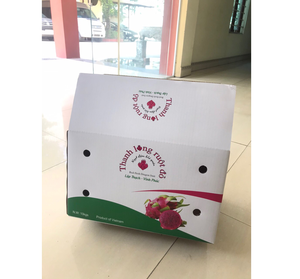 Top quality Paper box 7 layer fruit box for export