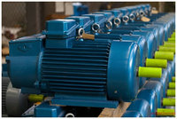 Moteur asynchrone à rotor enroulé pour grue MARATHON BROOK MROMPTON ATB MORLEY YZR280M 63KW 100kw 200Kw 300kw 400 KW 500kw 1200kw