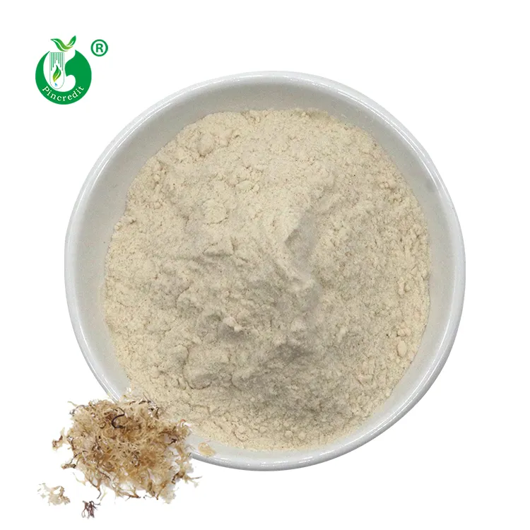 Pincredit Supply High Quality Natural Organic Bulk Irish Sea Moss Powder with Private Label