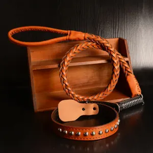 Luxus-Leder-Haustierhalsbänder Leinen modisch einstellbar tragbar Haustierhalsbänder Leder-Hundeleine-Halsband-Set