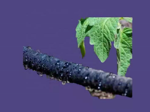 Шланг для полива - Product Image 6