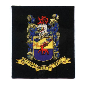 Vàng Dây Gia Đình Crest thêu áo của cánh tay | Vàng Blazer huy hiệu - Product Image 4