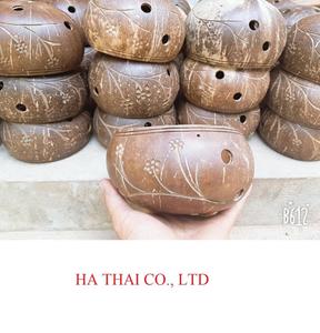 Cáscara de coco para maceta - Product Image 1