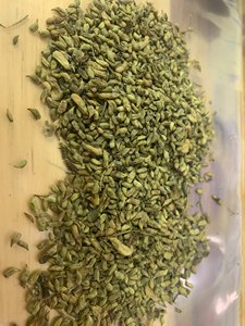 Sophora Japonica Vietnamita / Flor de Sophora Japonica Seca Sr. Kevin - Product Image 6