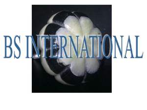 Pomos de puerta de resina de hueso Animal Natural de diseñador para cocina dormitorio múltiples opciones de diseño para ventana gabinete armario dormitorio - Product Image 2