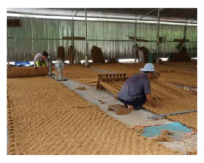 Tapis en coco de haute qualité, 2 pièces, tapis en noix de coco, à prix coûtant, 84 343, 688, 450