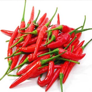Piment frais du Vietnam, piment rouge fort, herbe aromatique, produit agricole cru, légumes, boîte de 5 kg en PE, en vente - Product Image 6