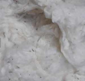 Coton écologique Déchets Coton Comber Noil Coton Blanchi Filatures Prix Bas Haute Qualité THANH VIN Vietnam Mic 3.5-4.5 - Product Image 5