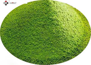 Poudre de thé vert biologique à prix compétitif de haute qualité fabriquée au Vietnam - Product Image 5