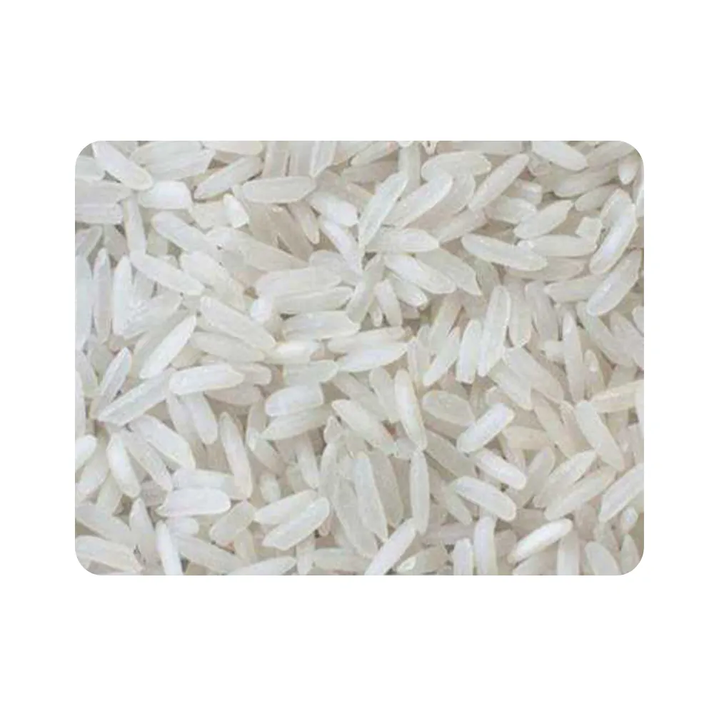 Riz indien blanc simple, 25kg par sac, modèle, excellente qualité, Grain court, carafe