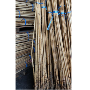 Superventas 3M Material de caña de ratán natural de tamaño pequeño Single SE Asia Muebles de invernadero Producto agrícola global - Product Image 6