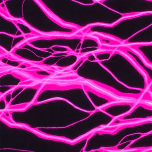 Collants de sport de compression pour hommes, leggings d'entraînement à séchage rapide pour la course à pied, blanc et noir, à motif solide - Product Image 6