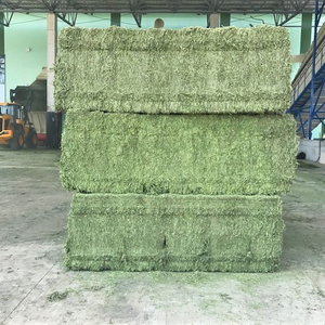 หญ้าอัลฟัลฟ่าแห้งคุณภาพเยี่ยม อบแห้งด้วยแสงแดด บรรจุในห่อขนาด 30 กก./60 กก./450 กก. สำหรับม้า โค และสุกร - Product Image 2
