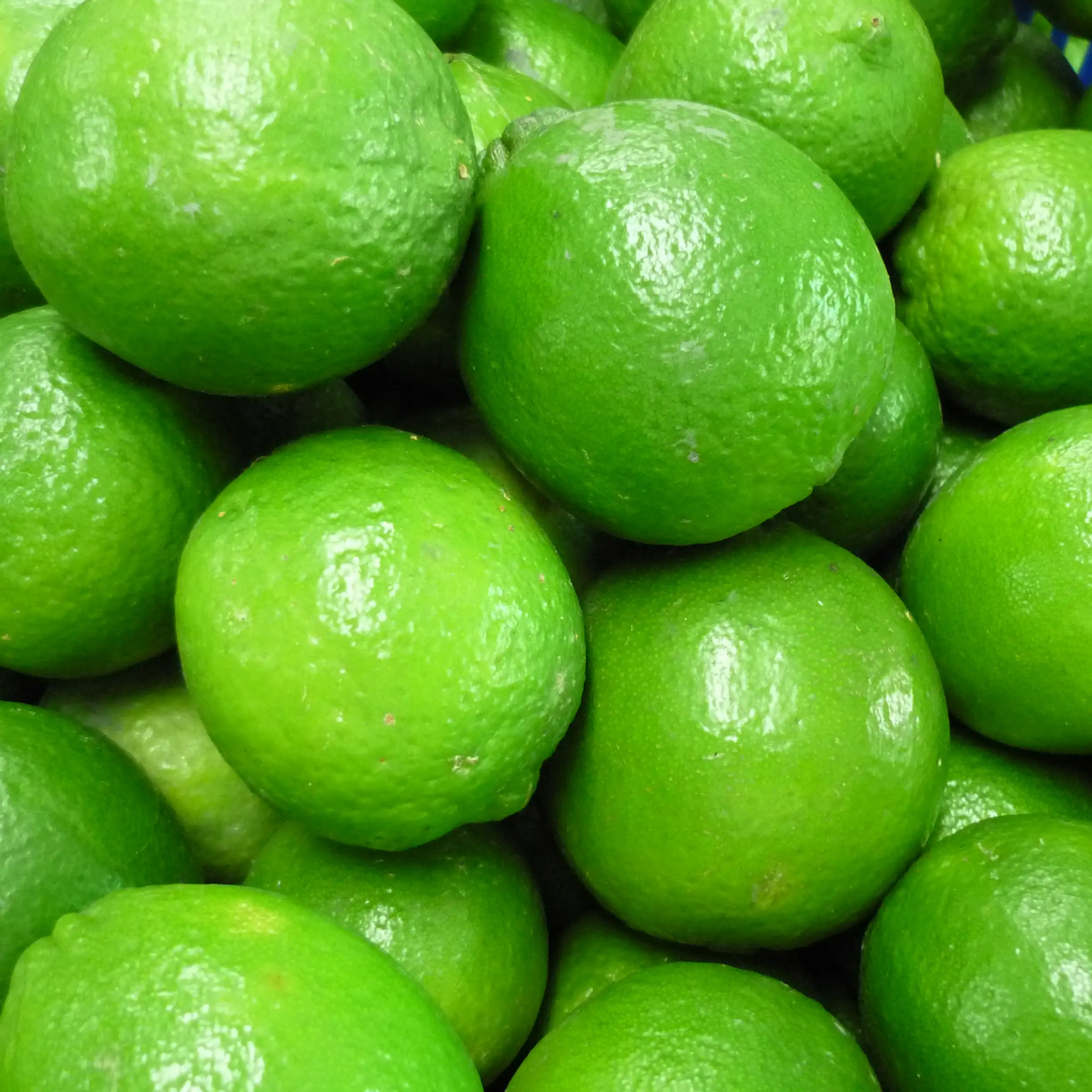 Citron sans graines et graines, vente en gros, prix utilisé dans l'ue, 2021