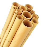 Piquets et cannes en bambou naturel pour le soutien des arbres, des tomates et des plantes grimpantes, fournisseur en gros du Vietnam