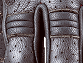 ถุงมือมอเตอร์ไซด์ถุงมือป้องกันหน้าจอสัมผัสแบบเต็มนิ้วถุงมือมอเตอร์ไซด์ Dragster City - Product Image 4