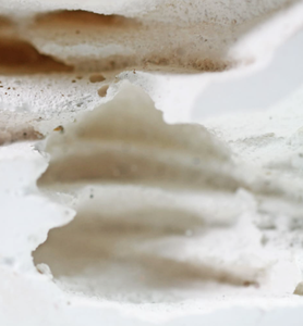 Minimalista de la naturaleza al aire libre estilo nido de hormigas decoración de la habitación - Product Image 5