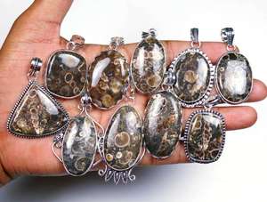 Jaspe Turritella Natural, increíble lote al por mayor, colgante plateado de diseño - Product Image 6