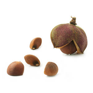 Aceite Portador de Semillas de Camelia Prensado en Frío 100% Puro con Aloe Vera, Jojoba, Oliva, Coco, Aguacate, Argán y Semilla Negra para el Cuidado del Cabello y la Piel - Product Image 3