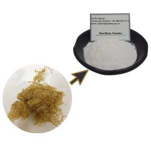 Polvo de Extracto de Eucheuma Cottonii/Musgo Marino de Alta Calidad a Bajo Precio/Sra. Lima - Product Image 1