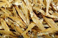 Meilleures ventes de poisson séché anchois du Vietnam - Meilleur prix, qualité supérieure, produits de la mer séchés // M. Alex Truong