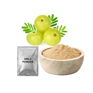 100% 无化学Amla提取物粉末印度醋栗制造商OEM自有标签粉末形式印度草药