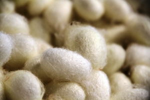 Cocon de Soie Entier Biologique Biodégradable pour Soin Nettoyant du Visage - Naturel Écologique Séchage Rapide 1/3 Coupé - Product Image 5