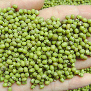 Green Mung Beans From Thailand for Food consumption at wholesale prices - Product Image 2