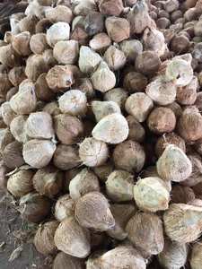 COCO SEMI-DESHUESADO SECO - Product Image 5