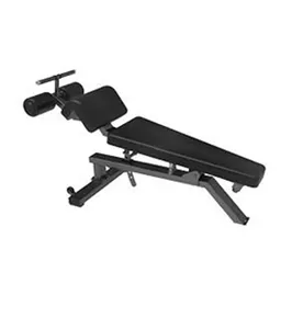 Gym Fitness Equipment Roman Chair / Back Hyperextension And Abdominal Exercise Bench