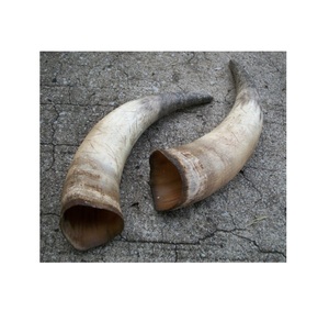 Par de Cuernos de Búfalo Naturales Antiguos, Par de Cuernos de Vaca, Superventas, Decoración para Hoteles, Mejor Diseño para Producto Popular - Product Image 1