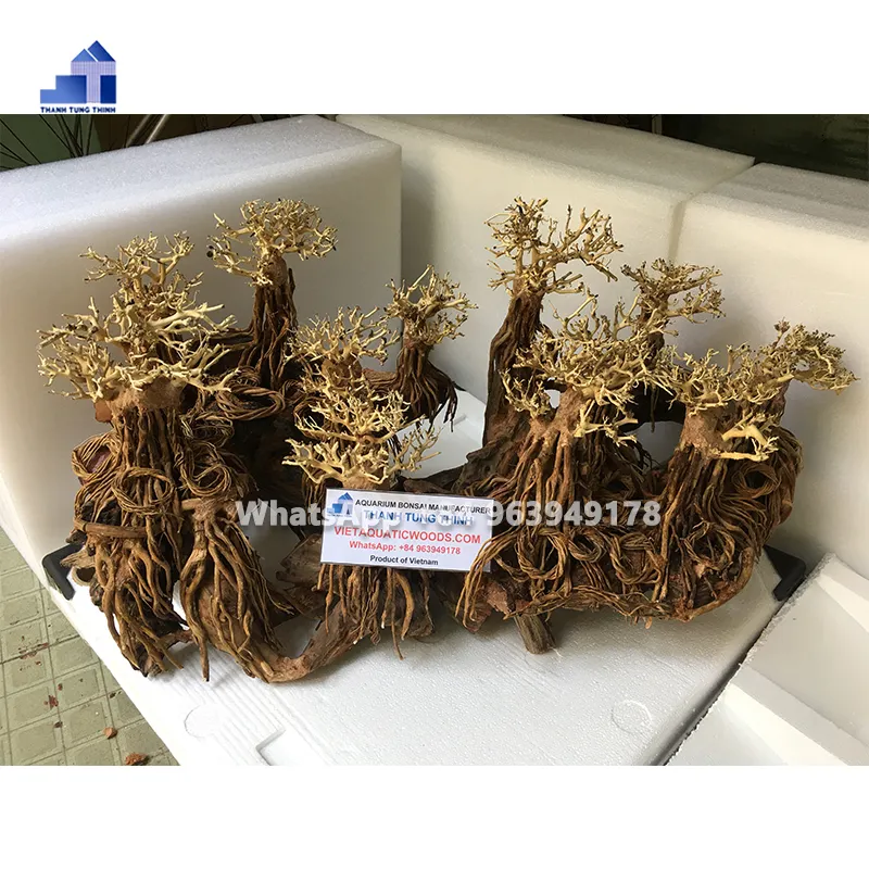 Sıcak ürün doğal büyük bonsai driftwood balık/karides tank filtresi akvaryum WhatsApp: + 84 961005832