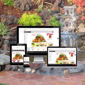 Ecommerce Portal Development Company in India | Award Winning eCommerce Portal B2B & B2C eCommerce Services by Webroot Infosoft - Product Image 1