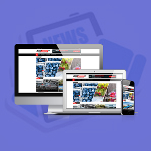 Premio Portal de noticias sitio web empresa de diseño y desarrollo | Portal de noticias y el sitio web de servicios de desarrollo por Webroot - Product Image 2