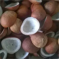 Essbare Kokosnuss Kopra, für die Zubereitung von Speisen