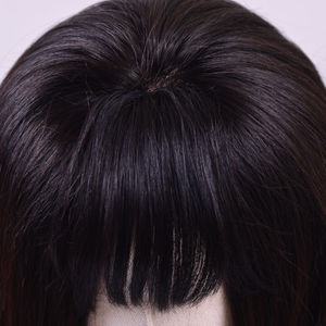 Clip On Bang 100% cheveux humains Bang pour Salon de beauté 16 pouces Clip In set avec bang lace front perruques Full Lace Wigs - Product Image 2