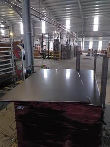 FILM facial en contreplaqué, 11.5MM - Product Image 5