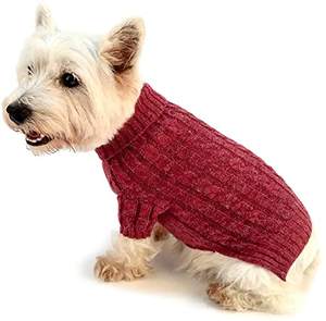 Ropa de perro personalizada, alta calidad, venta al por mayor - Product Image 5