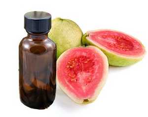 Aceite Portador de Semillas de Guayaba (Psidium Guajava) Prensado en Frío, Certificado GMP, Alta Calidad, Origen India, Amarillo Pálido/Incoloro, Sin Olor Grasoso - Product Image 2