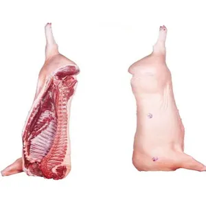 Cleaned Process Frozen Pork Meat / Pork Hind Leg / Pork Feet ready for Export from Approved slaughter house