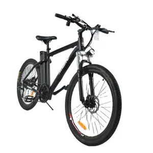 Bicicletta elettrica 36V/250W di consegna veloce di prezzi all'ingrosso senza spazzola ad alta velocità per la bicicletta elettrica adulta