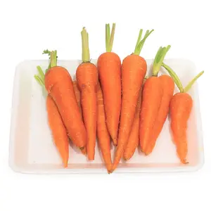 Taze havuç Carrotfreshfresh havuç fiyat ihracat toptan ambalaj 4.5kg Net ( Tel/ whatsapp/ viber: 0084 989 322 607)