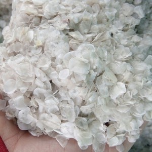 เวียดนามปลาเครื่องชั่งน้ำหนักสารสกัดจากคอลลาเจนที่มีคุณภาพที่ดีที่สุด - Product Image 5