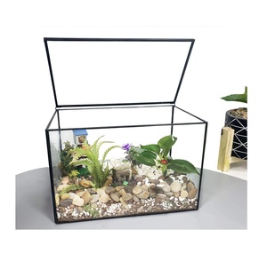 Custom Handmade Traditional Design Home and Garden Hanging Metal and <b>Glass</b> Terrarium Top Manufacturer Exporter for Wholesale - Product Image 2