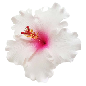 Hoa Xốp Hoa Dâm Bụt Nhân Tạo Thủ Công Với Nhiều Màu Sắc Đa Dạng - Product Image 5