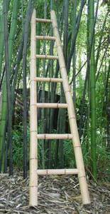 CHEAP <b>BAMBOO</b> <b>LADDER</b> NEW STYLE for YOUR HOME GARDEN <b>BAMBOO</b> <b>LADDER</b> HIGH QUALITY HANDICRAFT FURNITURES - Product Image 4